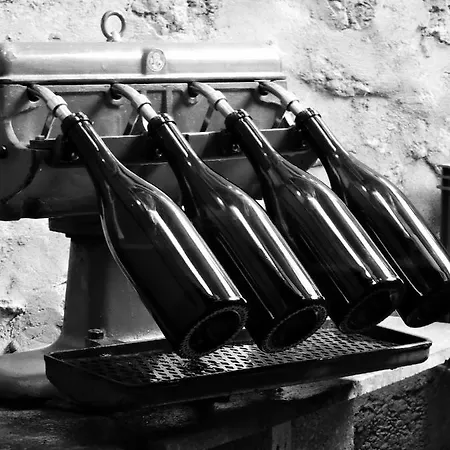 Accommodatie bij particulieren Champagne La Parcelle