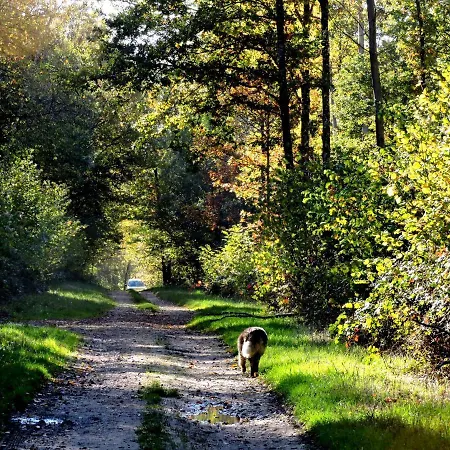 Pansiyon Champagne La Parcelle
