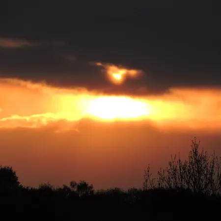 Champagne La Parcelle Connigis