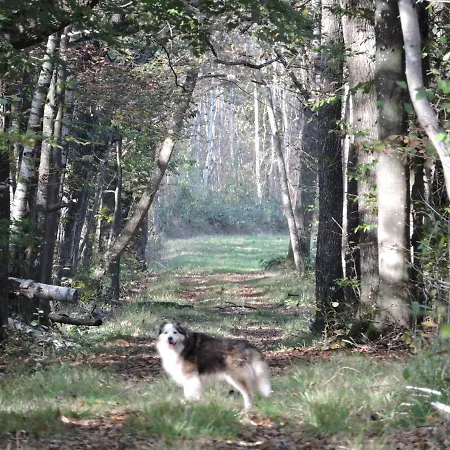 Champagne La Parcelle Pansiyon