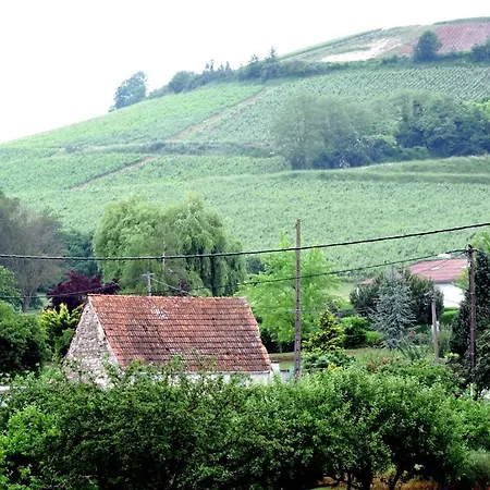 ホームステイ Champagne La Parcelle