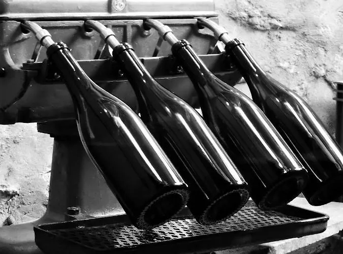 Homestay Champagne La Parcelle