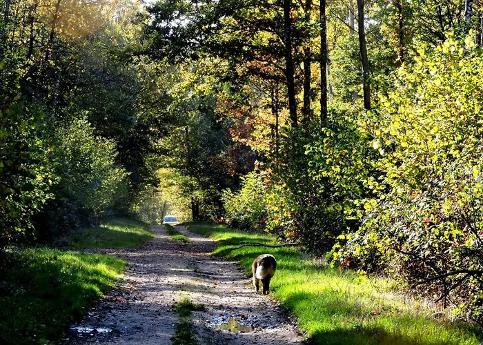Homestay Champagne La Parcelle