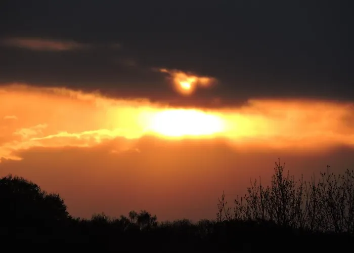 Champagne La Parcelle Connigis